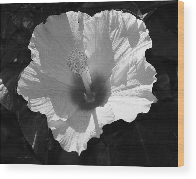 Hibiscus In Black And White For Canvas Wood Print featuring the digital art White Sunshine by Steve Godleski
