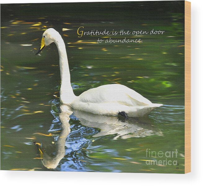 Diane Berry Wood Print featuring the painting Whooper Swan Gratitude by Diane E Berry