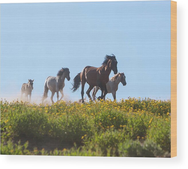 Mark Miller Photos Wood Print featuring the photograph Wild Horses Running by Mark Miller