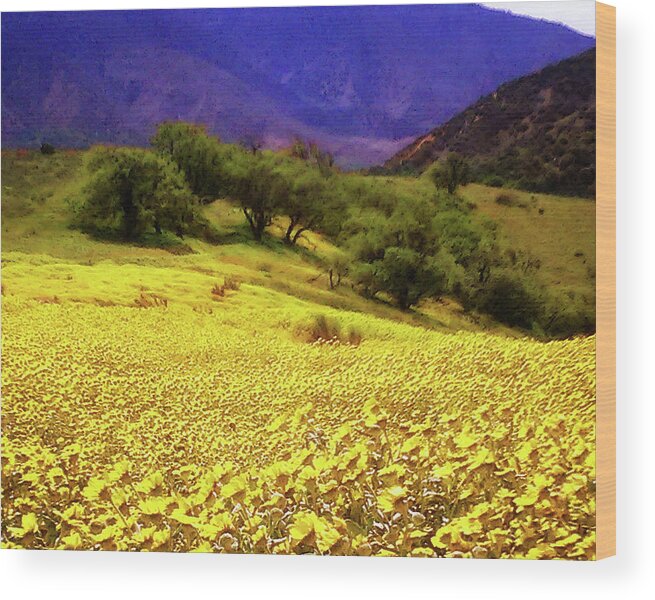 Wildflowers Wood Print featuring the photograph Wildflowers in the San Emigdio Mountains by Timothy Bulone