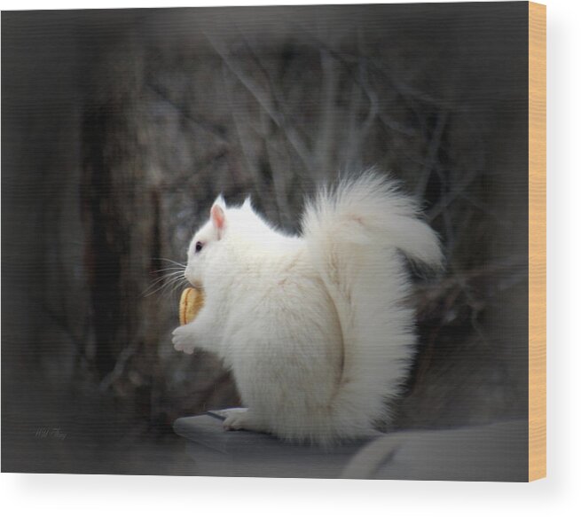 Winter Wood Print featuring the photograph Winter Nibbles by Wild Thing