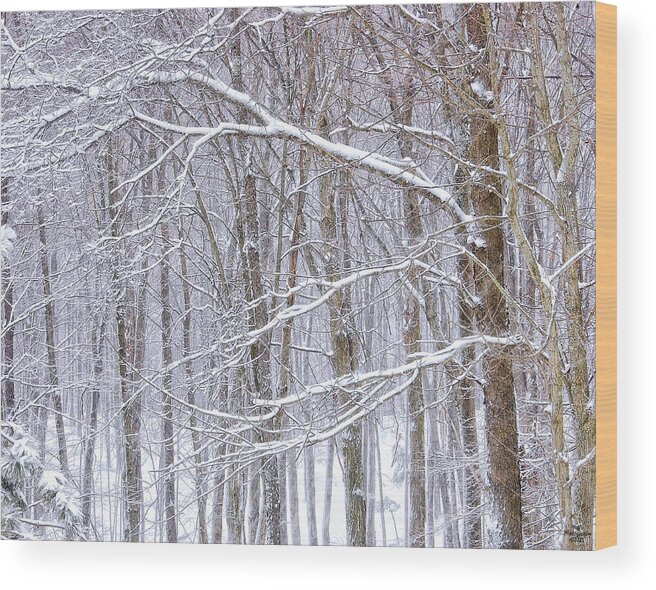 Winter Storm Wood Print featuring the photograph Winter White by Peg Runyan