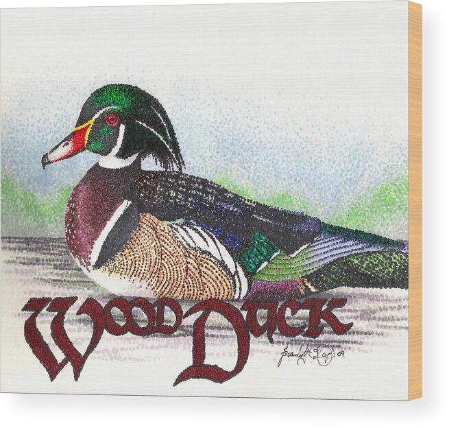 Duck Wood Print featuring the drawing Wood Duck by Scarlett Royale