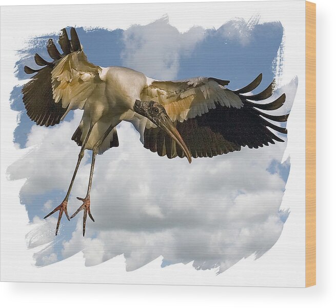 Wood Stork Wood Print featuring the photograph Wood Stork by Larry Linton