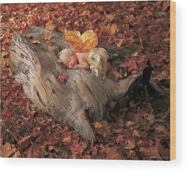 Fall Wood Print featuring the photograph Woodland Fairy by Anne Geddes