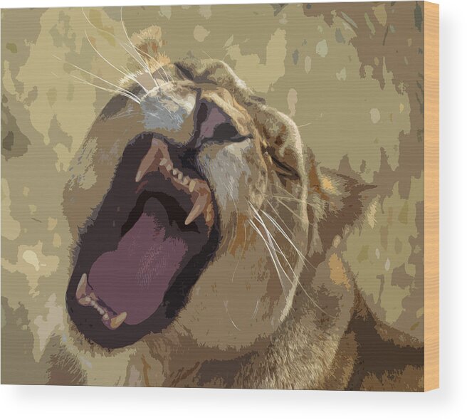 Feline Wood Print featuring the photograph Yawning Lioness by Laurel Powell