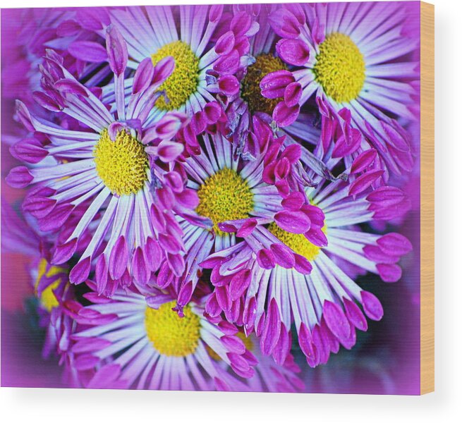 Flowers Wood Print featuring the photograph Yellow Purple and White by AJ Schibig