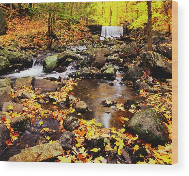 Water's Edge Wood Print featuring the photograph Autumn Waterfall In New York P #1 by Ron thomas
