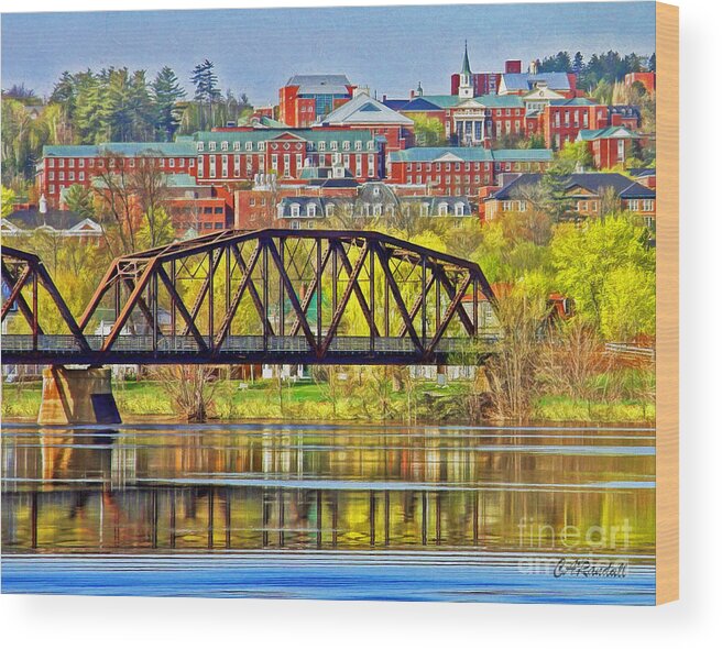 Campus Wood Print featuring the photograph Campus In Spring by Carol Randall