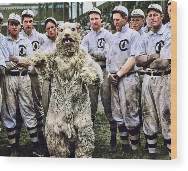 Chicago Cubs vintage photo print team photograph bear mascot