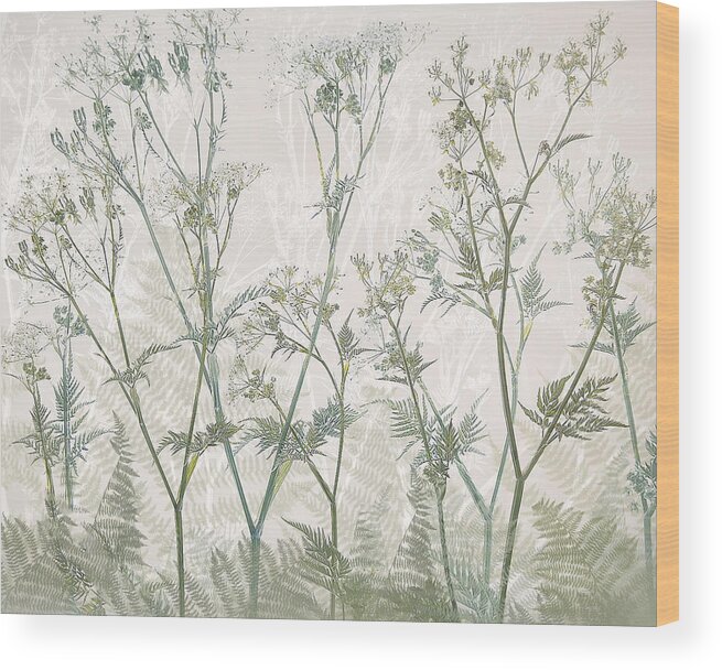 Cow Parsley Wood Print featuring the photograph Cow Parsley #1 by Nel Talen