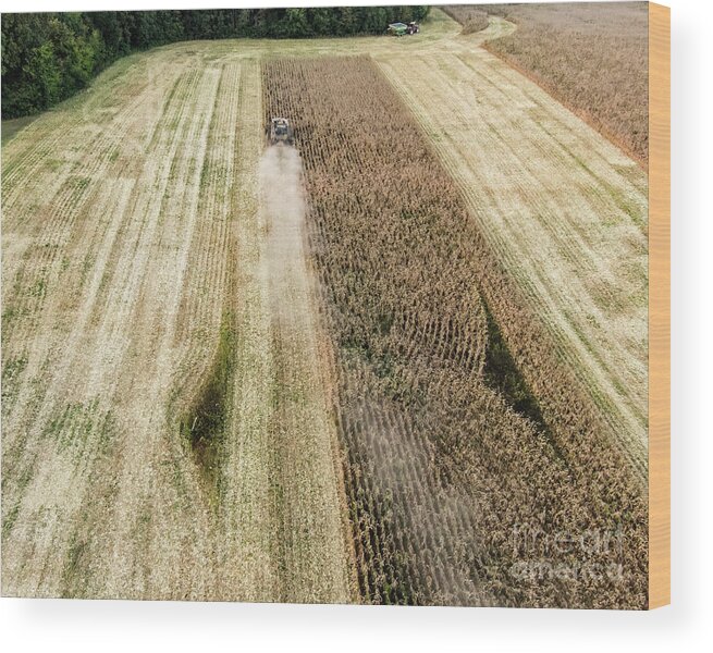 18th September 2019 Wood Print featuring the photograph Crop Rotation #1 by Us Department Of Agriculture/science Photo Library