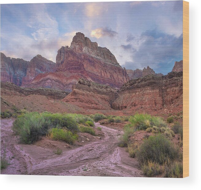 00574850 Wood Print featuring the photograph Desert And Cliffs, Vermilion Cliffs by Tim Fitzharris