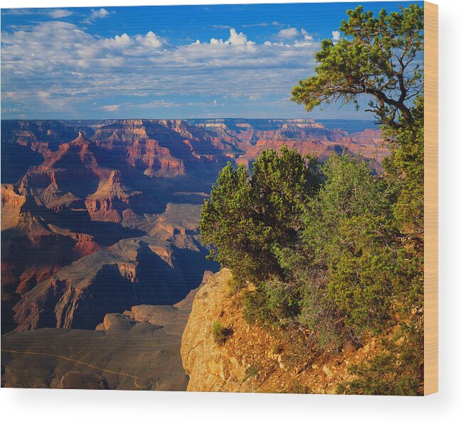 Scenics Wood Print featuring the photograph Grand Canyon National Park  P #1 by Ron thomas