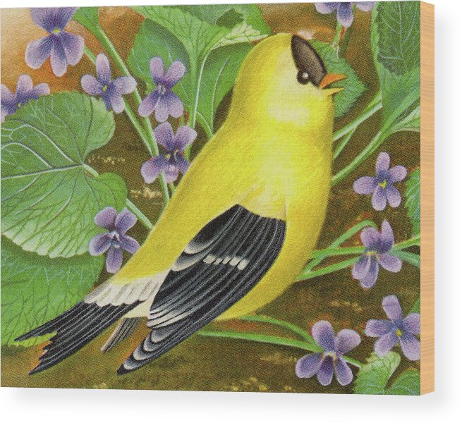 Animal Wood Print featuring the drawing Yellow Finch #1 by CSA Images