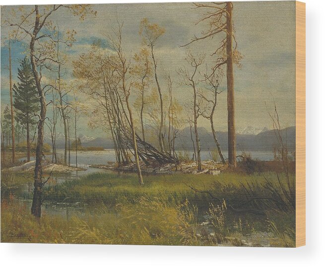 Lake Wood Print featuring the painting Lake Tahoe by Albert Bierstadt