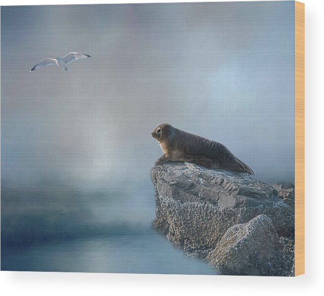 Seal Wood Print featuring the photograph On The Rocks by Cathy Kovarik