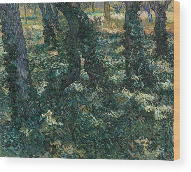 Oil On Canvas Wood Print featuring the painting Undergrowth. #2 by Vincent van Gogh -1853-1890-