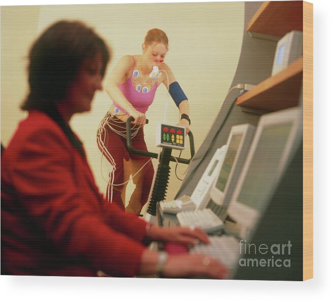 Fitness Test Wood Print featuring the photograph Fitness Test #9 by Samuel Ashfield/science Photo Library