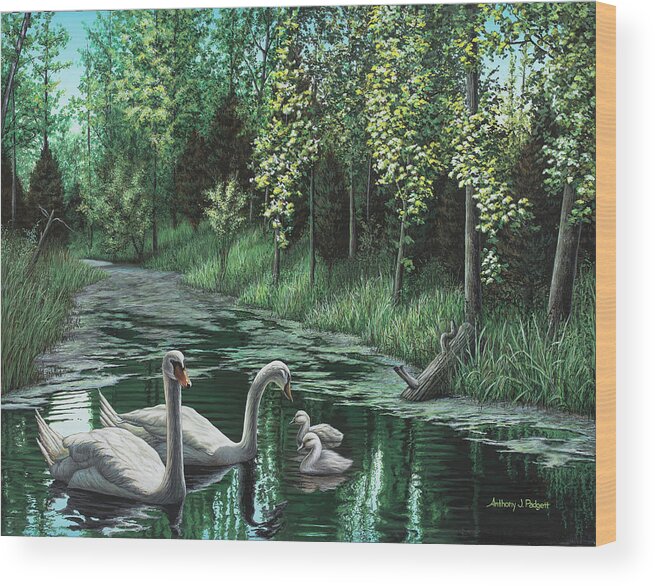 Swan Wood Print featuring the painting A Day Out by Anthony J Padgett