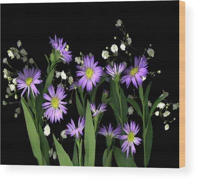 Asters & Baby?s Breath Wood Print featuring the painting Asters & Baby?s Breath #2a by Susan S. Barmon