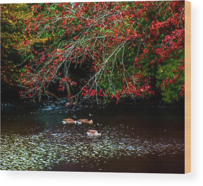 Geese Wood Print featuring the photograph Autumn Geese by Cathy Kovarik
