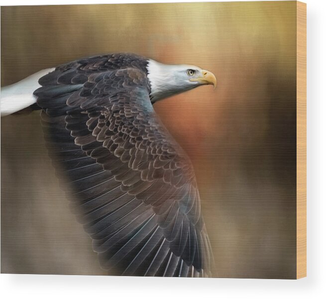 Bald Eagle Wood Print featuring the digital art Bald Eagle Flyby by Jeanette Mahoney