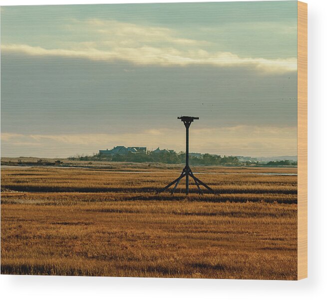 Marshland Wood Print featuring the photograph Bird Stand. by William Bretton