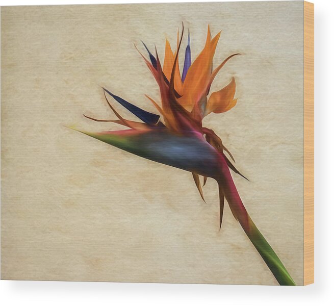 2019 Wood Print featuring the photograph Birds-of-Paradise Flower by Wade Brooks
