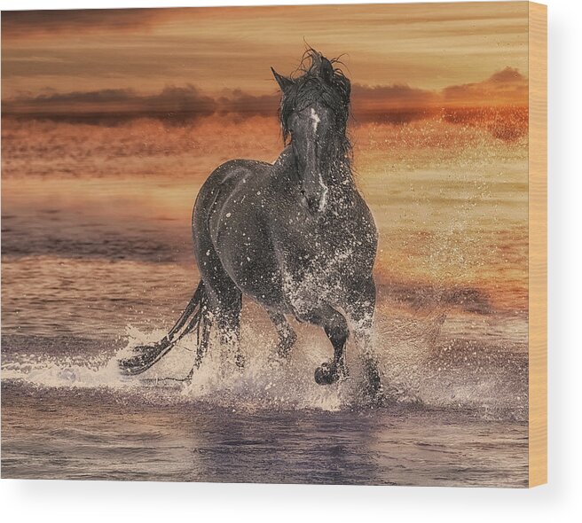 Black Wood Print featuring the digital art Black Stallion at Play by Wade Aiken