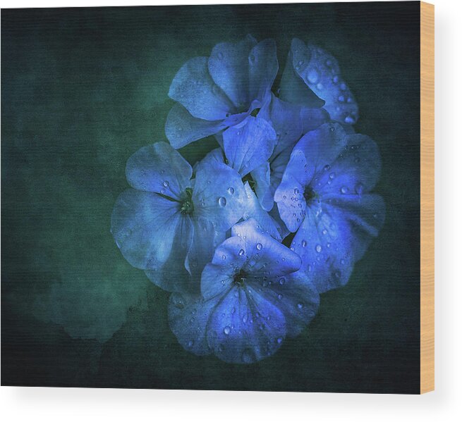 Flower Wood Print featuring the photograph Blue by Allin Sorenson