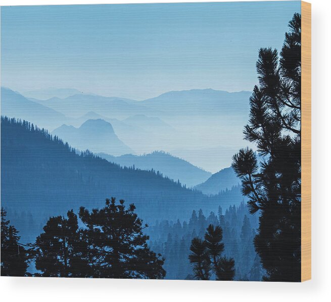 Sequoia National Park Wood Print featuring the photograph Blue Hazy Mountains Recede In Distance, Sequoia National Park by Cavan Images