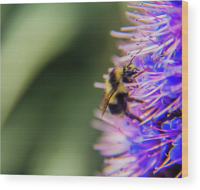 Bee Wood Print featuring the photograph Busy bee by Stuart Manning