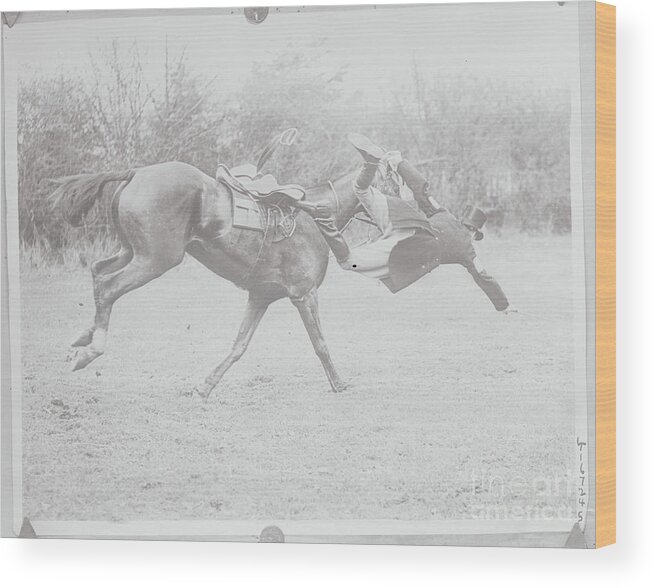 People Wood Print featuring the photograph C. F. Collins Falling From His Horse by Bettmann