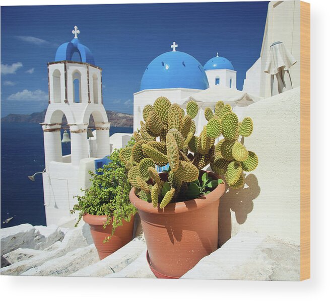 Steps Wood Print featuring the photograph Cactus On Santorini by Traveler1116