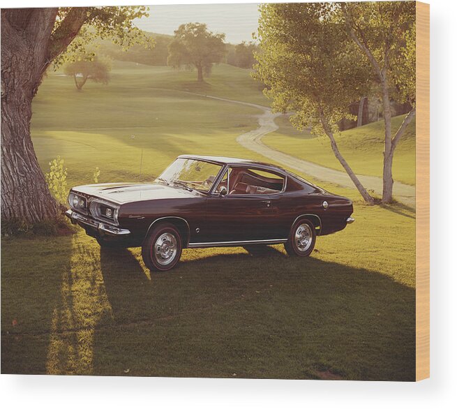 Shadow Wood Print featuring the photograph Cark Parked In Park Near Tree by Tom Kelley Archive