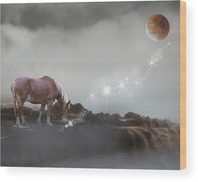 Horse Wood Print featuring the photograph Catch A Falling Star by Rebecca Cozart