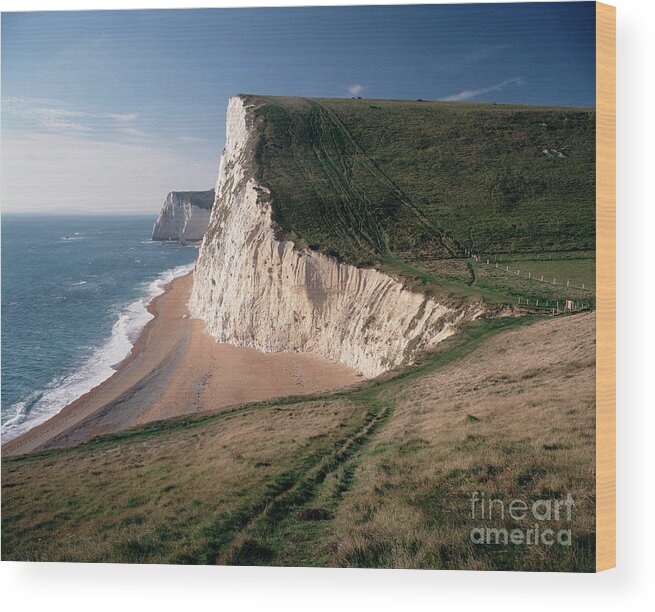 Cliff Wood Print featuring the photograph Chalk Cliffs by Michael Marten/science Photo Library