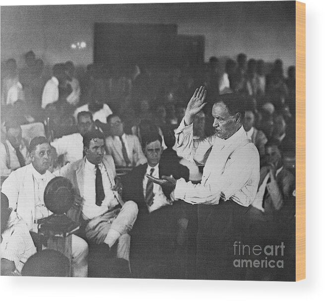 Mature Adult Wood Print featuring the photograph Clarence Darrow During The Scopes Trial by Bettmann