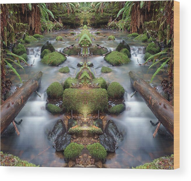 Nature Wood Print featuring the photograph Creek Diamonds #1N by Ben Upham III