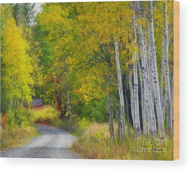 Country Road Wood Print featuring the photograph Birch Lane by Carol Randall