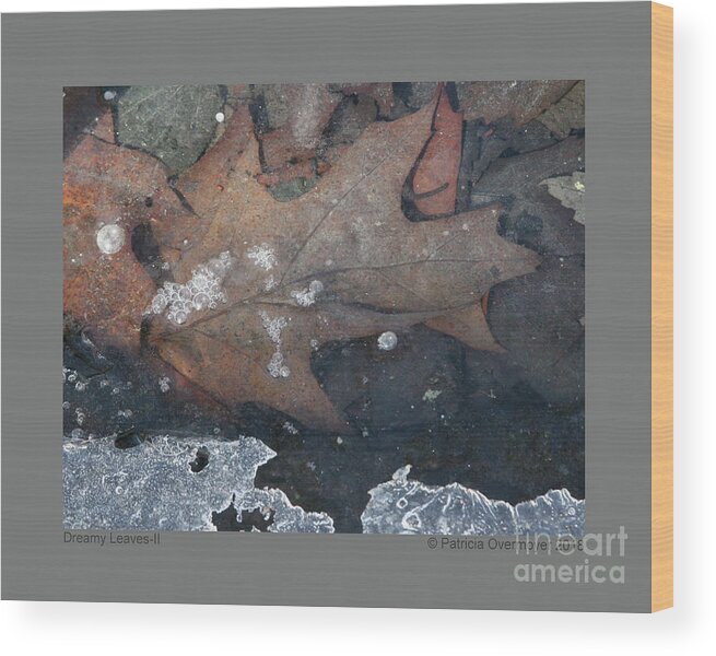 Leaf Wood Print featuring the photograph Dreamy Leaves-II by Patricia Overmoyer