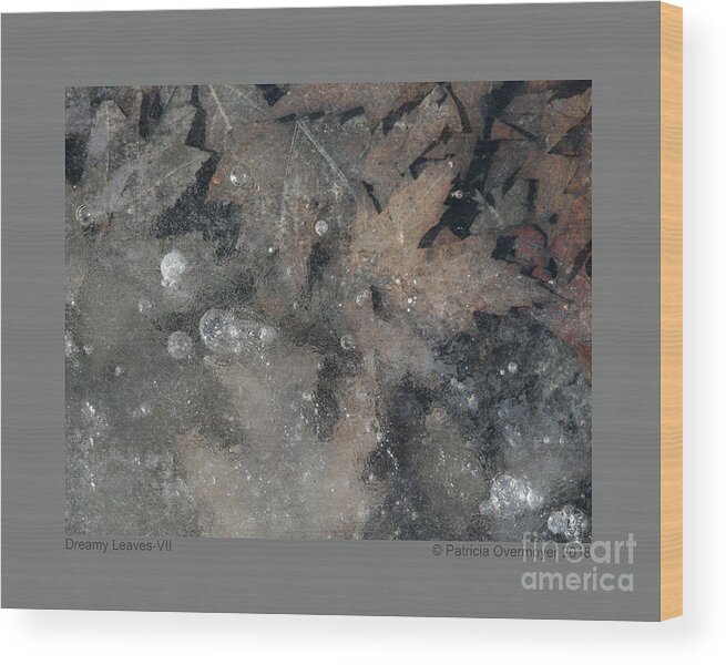 Leaf Wood Print featuring the photograph Dreamy Leaves-VII by Patricia Overmoyer