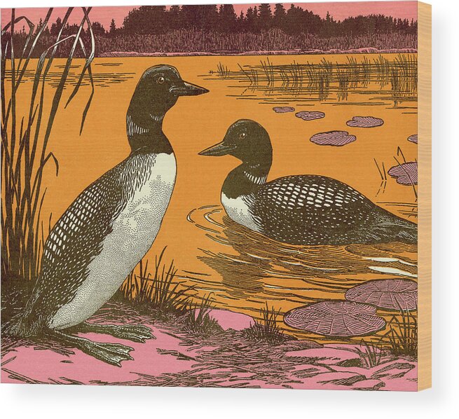 Animal Wood Print featuring the drawing Ducks by CSA Images