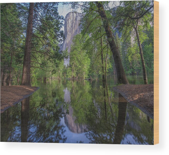 00571598 Wood Print featuring the photograph El Capitan From Merced River, Yosemite National Park, California by Tim Fitzharris
