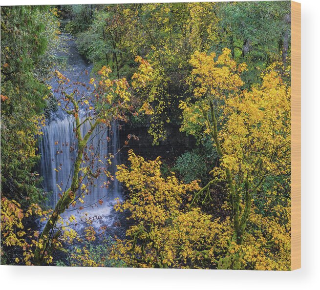 Waterfall Fall Landscape Scenery Wood Print featuring the photograph Fall Falls by Peggy McCormick