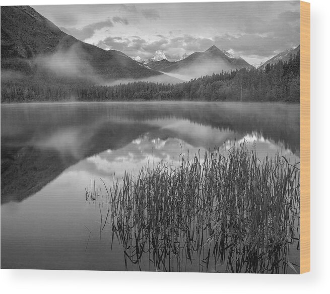 Disk1215 Wood Print featuring the photograph Fortress Mountain Alberta by Tim Fitzharris