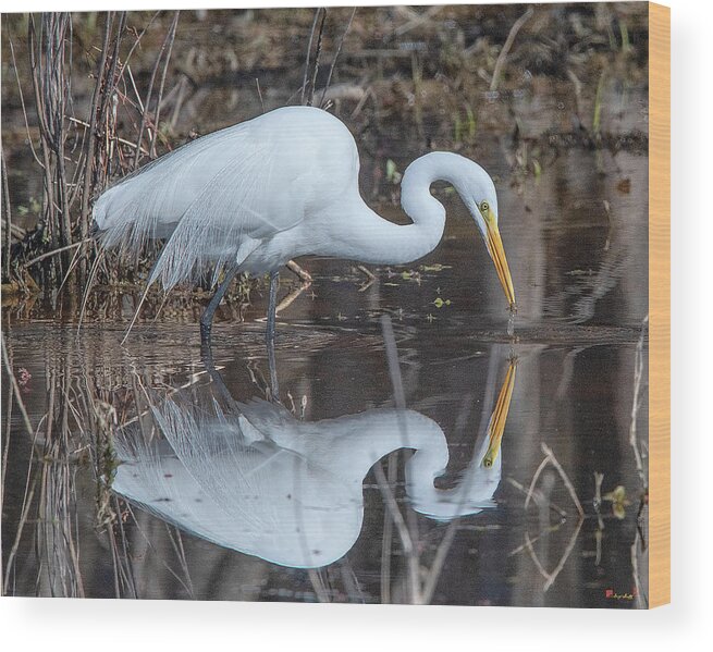 Nature Wood Print featuring the photograph Great Egret in Breeding Plumage DMSB0154 by Gerry Gantt