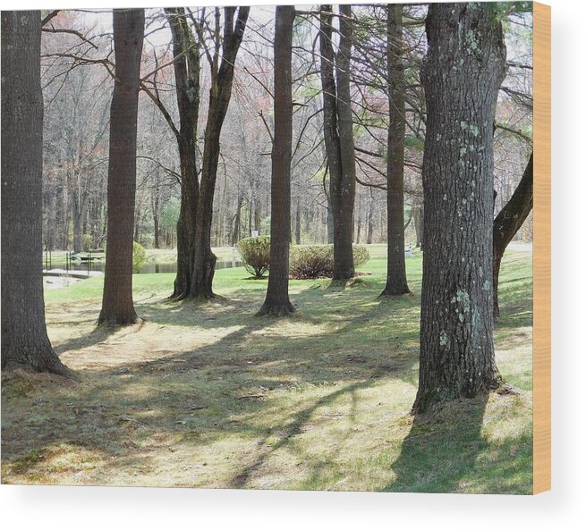 Grove Wood Print featuring the photograph - Grove of trees by THERESA Nye