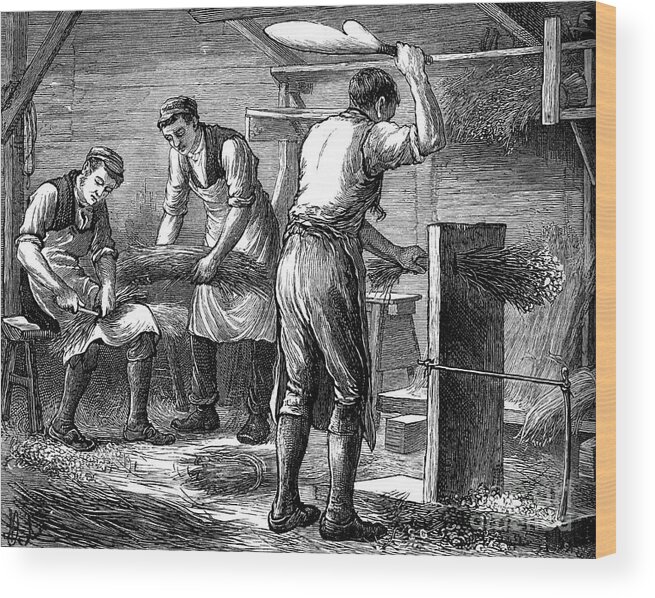 Working Wood Print featuring the drawing Hand-scutchers At Work, C1880 by Print Collector